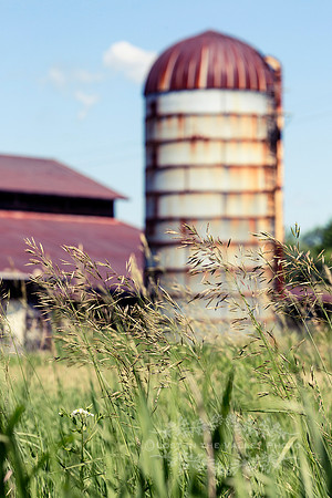 Silo Behind Grass