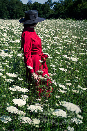 Woman in a Red Dress Standing in a Field