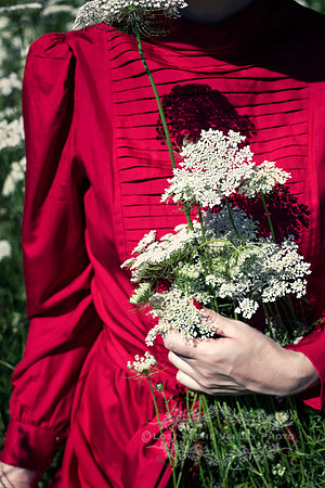 Woman in Red Dress Standing in a Field of Wild Carrot