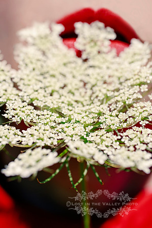 Close up of Wild Carrot and a Woman Wearing Red Lipstick