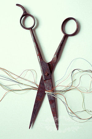 Rusting Scissors