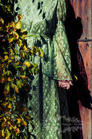 Woman in a Green Vintage Dress Standing Outside a Barn