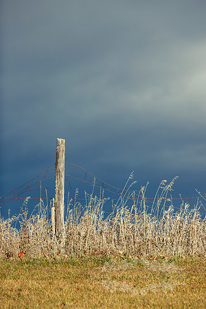 Wooden Post and a Broken Rusting Fence