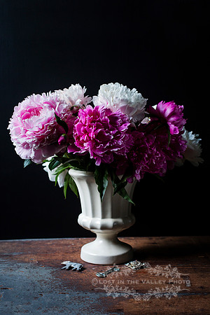 Pink and White Flowers in a Vase