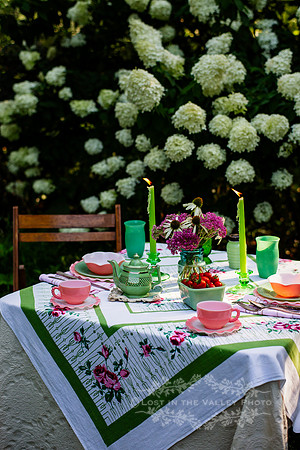 Table Setting in the Garden