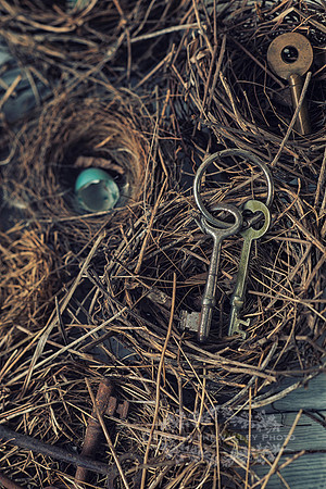 Nest & Keys Still Life 1