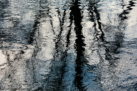 nature photography reflections of trees on Vermont river