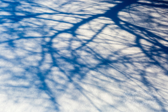 "nature photograph", "winter photography", "Adirondack Print"