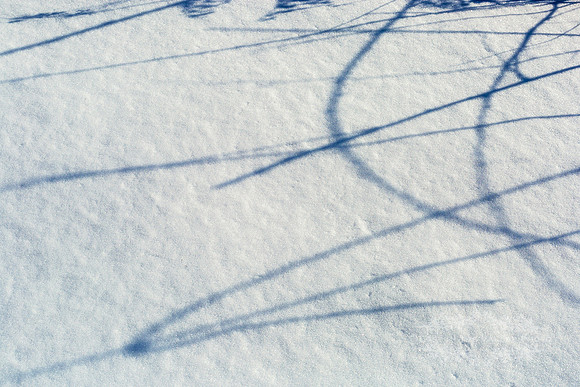 "winter photography", "minimalist photo", "nature photograph"