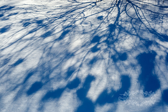 "winter photograph", "nature photography", "shadows and light photo"