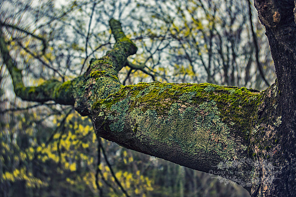 Reaching Out