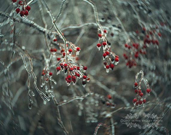 Crystalized No.2
