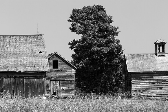 Gathered Barns
