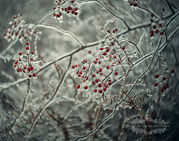 Crystalized No.1