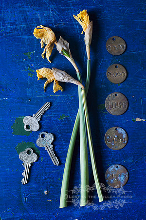Still Life Photography